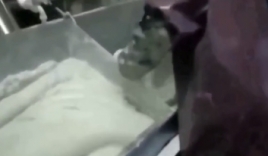 河南红薯磨粉机操作规程