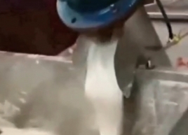 粉条机如何实现自动化操作