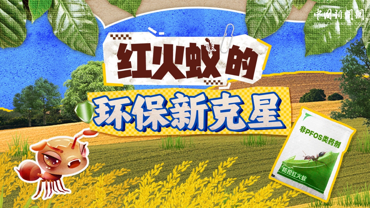 相关图片