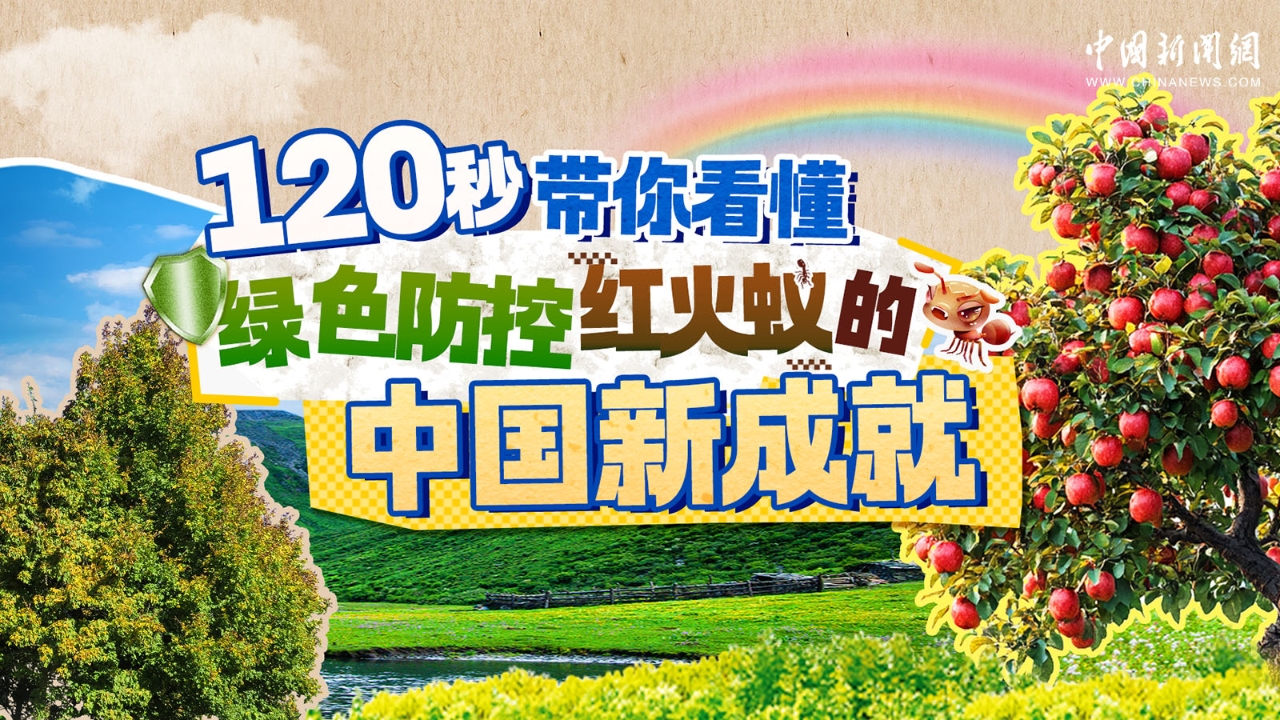 相关图片