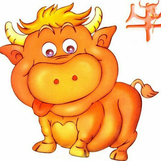 相关图片