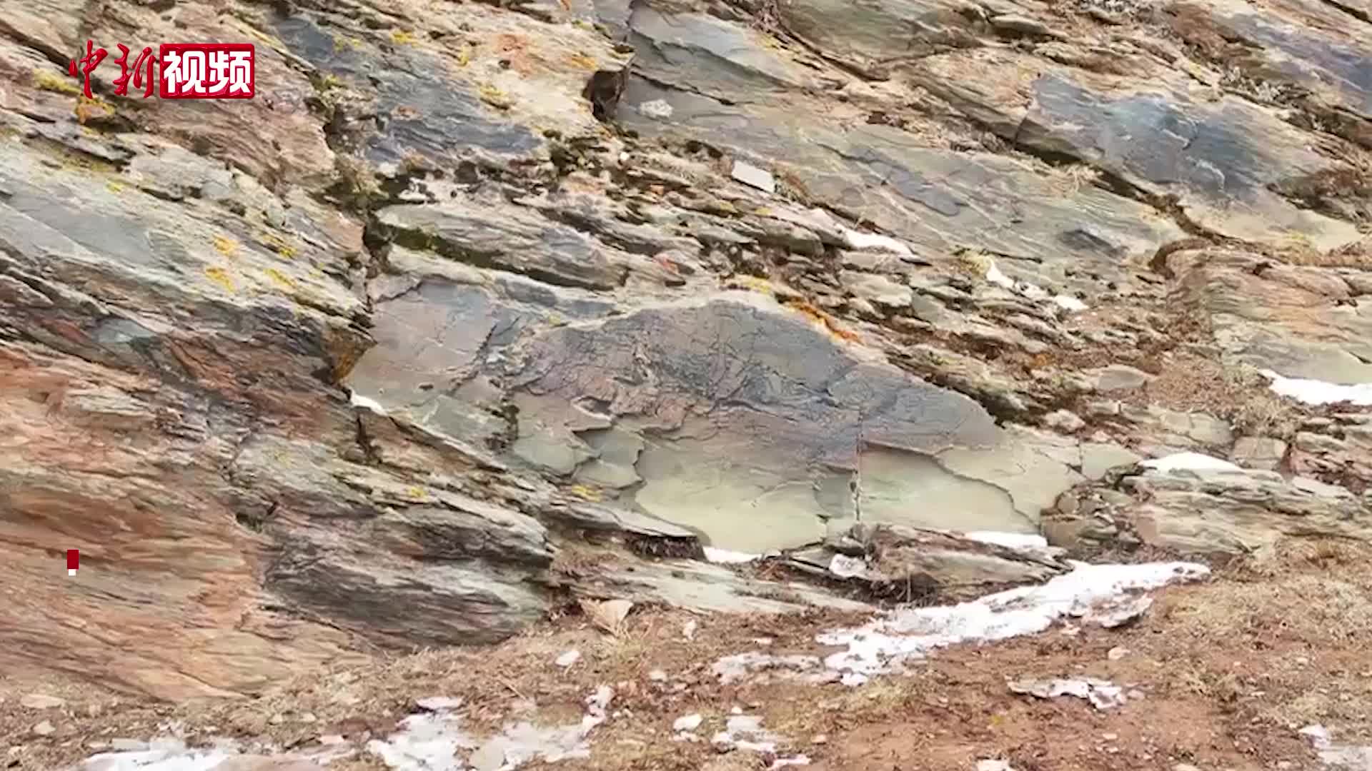 相关图片