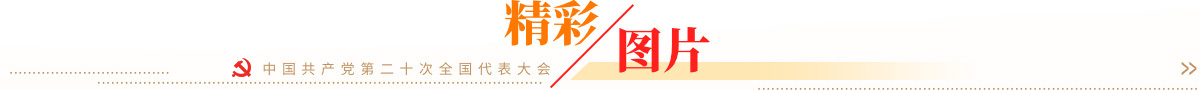相关图片