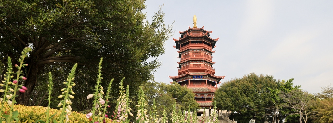相关图片