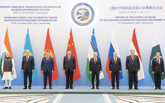 相关图片