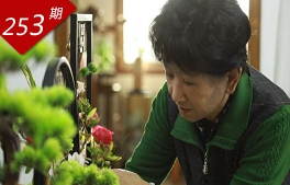 相关图片