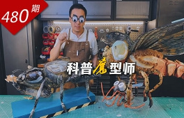 相关图片