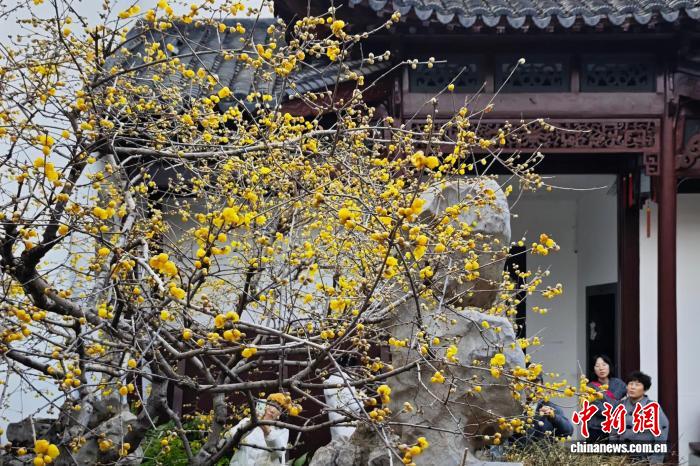 相关图片