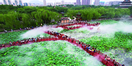 相关图片
